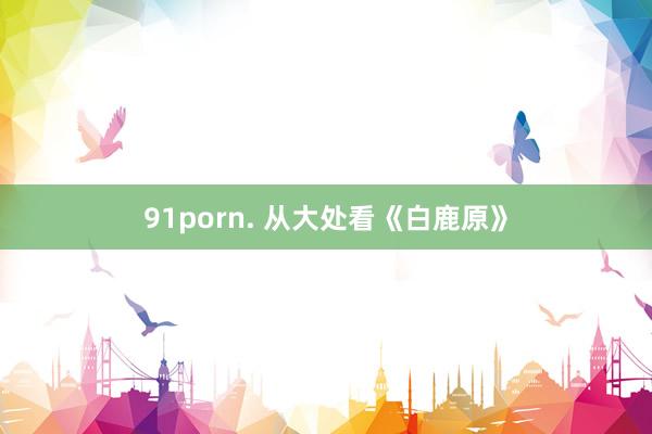 91porn. 从大处看《白鹿原》