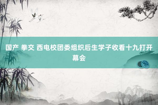 国产 拳交 西电校团委组织后生学子收看十九打开幕会