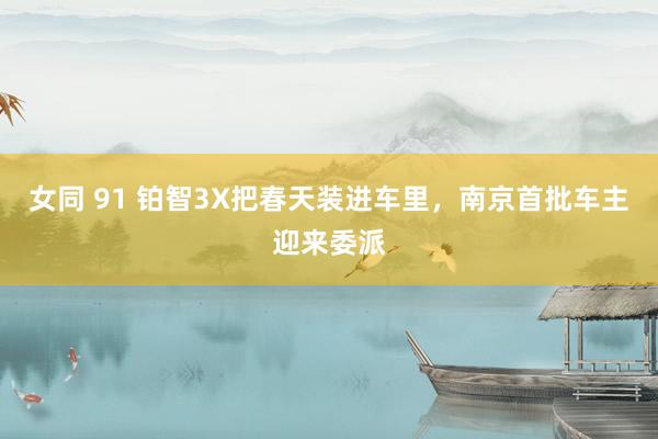 女同 91 铂智3X把春天装进车里，南京首批车主迎来委派