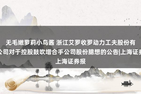 无毛嫩萝莉小鸟酱 浙江艾罗收罗动力工夫股份有限公司对于控股鼓吹增合手公司股份臆想的公告|上海证券报