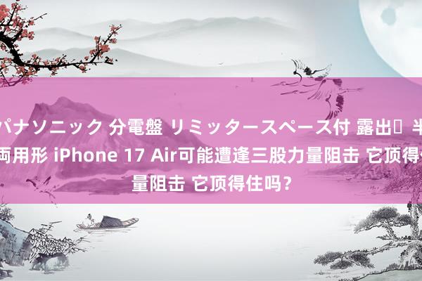 パナソニック 分電盤 リミッタースペース付 露出・半埋込両用形 iPhone 17 Air可能遭逢三股力量阻击 它顶得住吗？