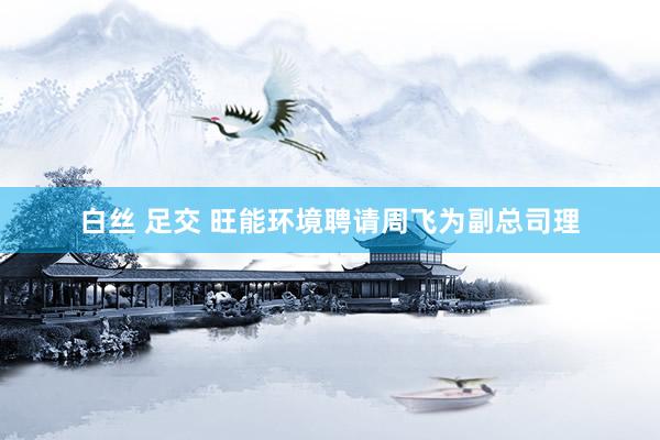 白丝 足交 旺能环境聘请周飞为副总司理