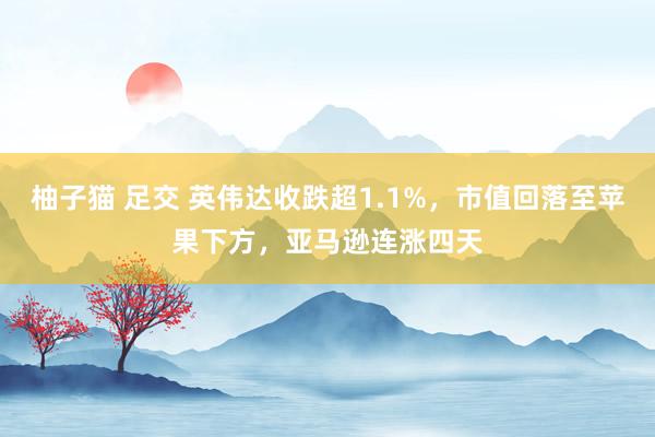柚子猫 足交 英伟达收跌超1.1%，市值回落至苹果下方，亚马逊连涨四天